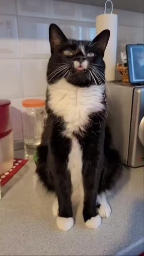  !.     &quot;  &quot;      : , ,   