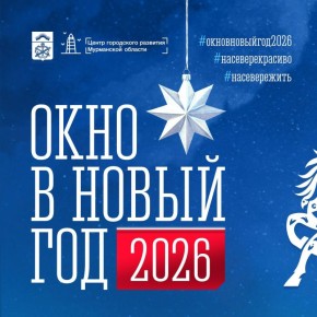 Сегодня стартовал прием заявок на традиционный региональный конкурс «Окно в Новый год»