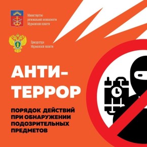 В министерстве региональной безопасности Мурманской области напоминают, что нельзя ни в коем случае трогать, поднимать и передвигать подозрительные предметы, даже если они выглядят безобидно