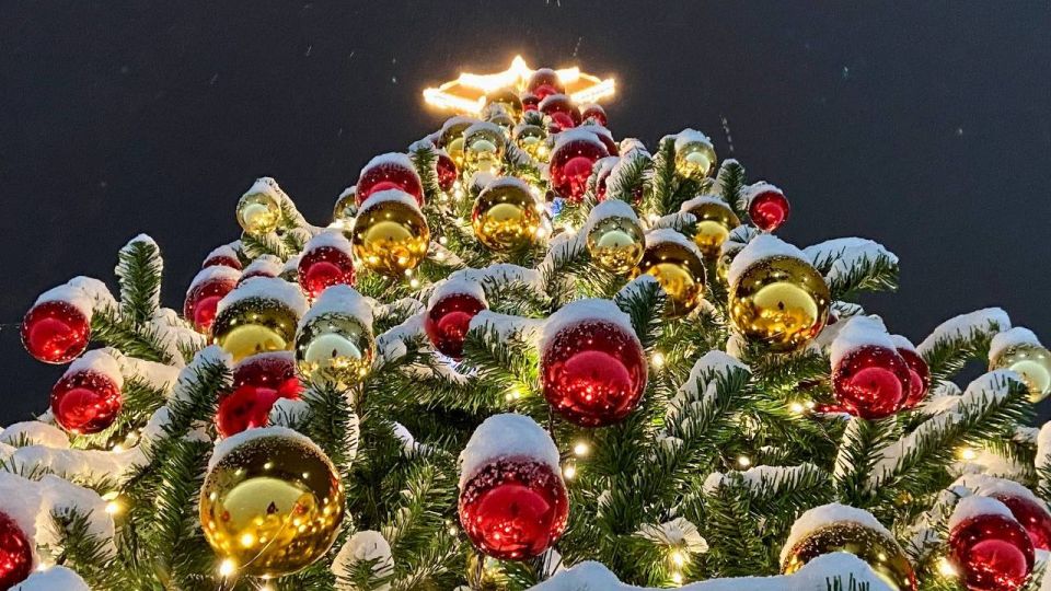 В городском парке Североморска появилась еще одна новогодняя елка