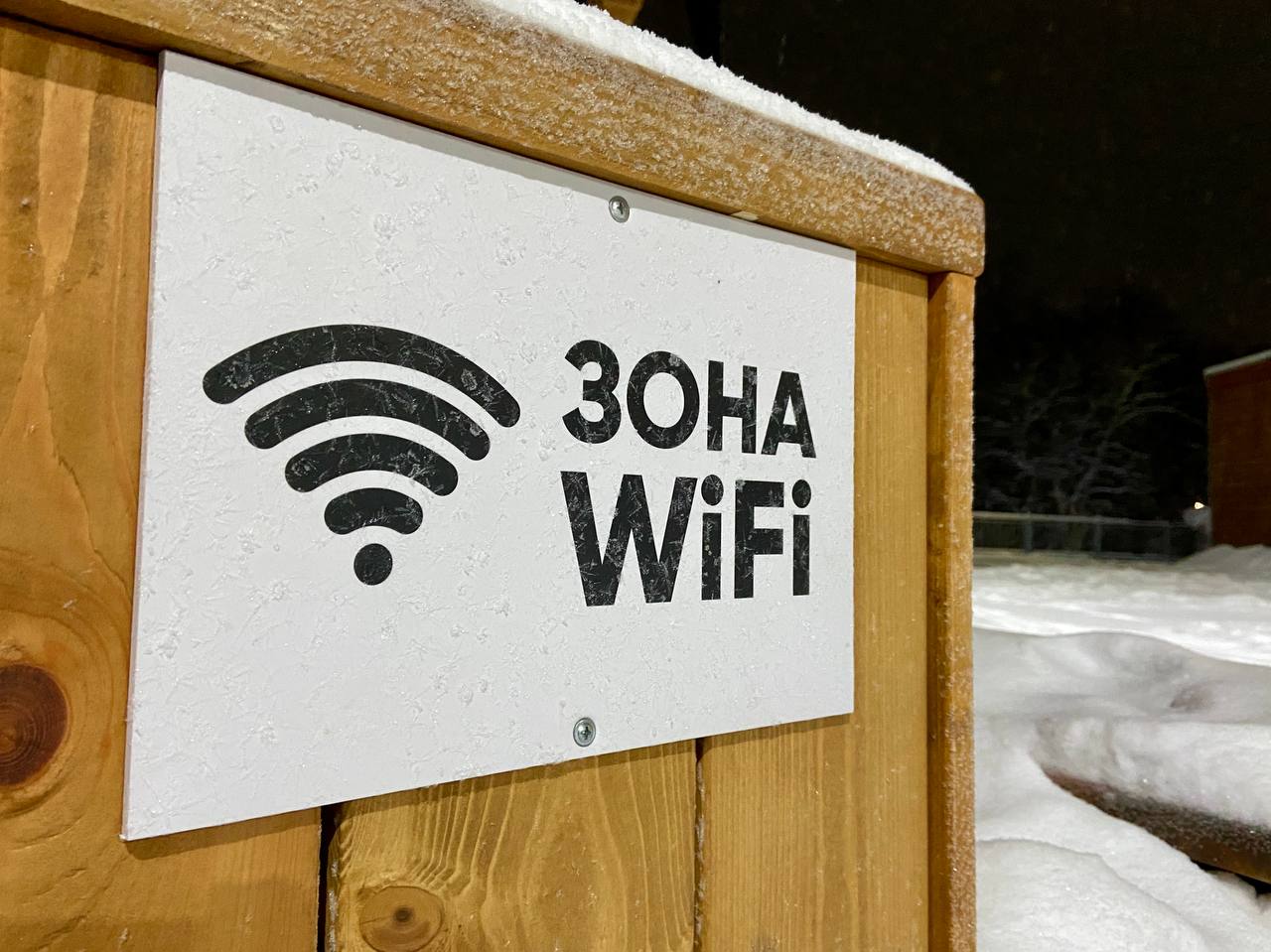 В городском парке Североморска появилась еще одна новогодняя елка В городском парке Североморска появилась еще одна новогодняя елка