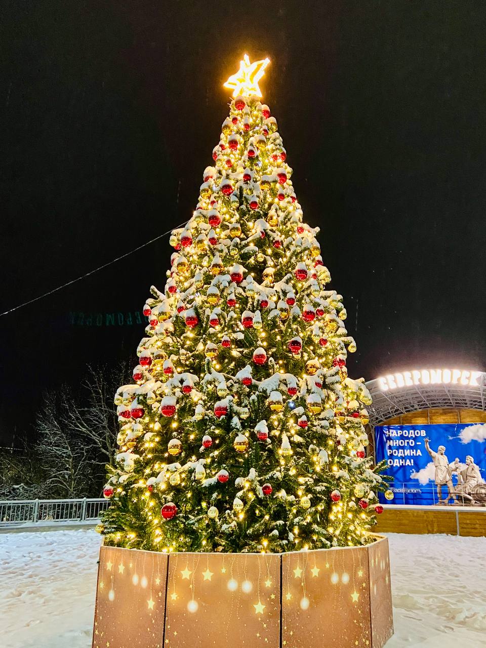 В городском парке Североморска появилась еще одна новогодняя елка В городском парке Североморска появилась еще одна новогодняя елка