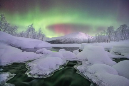 Зимнее кружево.. Елена Ермолина