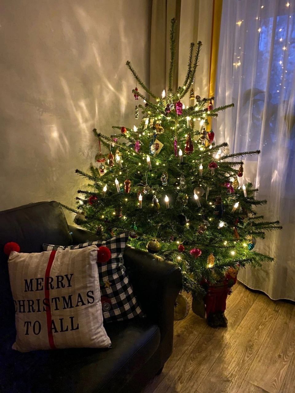 Доброе утро, Заполярье!. Мурманчане потихоньку готовятся к самому волшебному празднику года и украшают свои дома гирляндами и елками Доброе утро, Заполярье!. Мурманчане потихоньку готовятся к самому волшебному празднику года и украшают свои дома гирляндами и елками