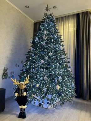 Доброе утро, Заполярье!. Мурманчане потихоньку готовятся к самому волшебному празднику года и украшают свои дома гирляндами и елками