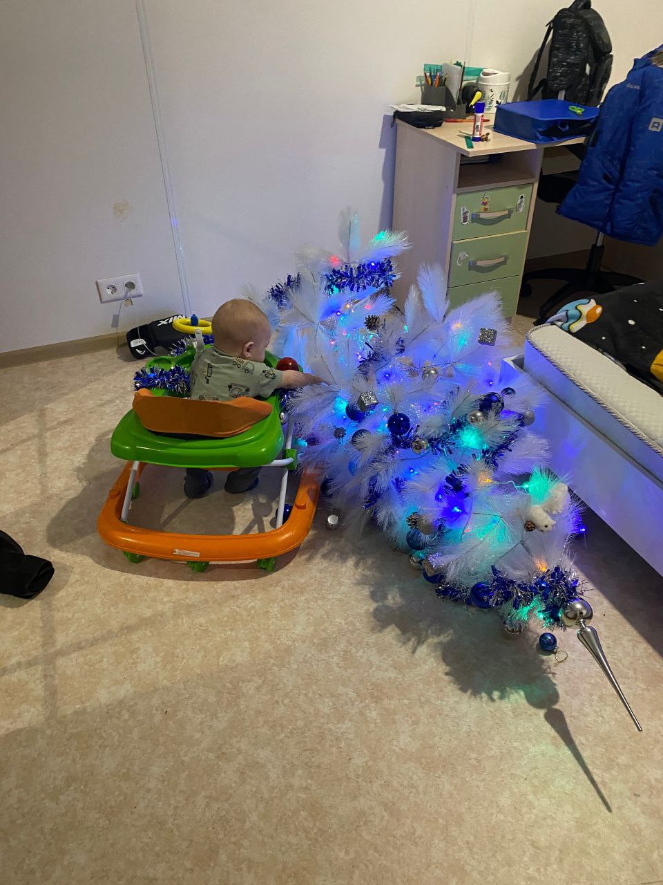 Доброе утро, Заполярье!. Мурманчане потихоньку готовятся к самому волшебному празднику года и украшают свои дома гирляндами и елками Доброе утро, Заполярье!. Мурманчане потихоньку готовятся к самому волшебному празднику года и украшают свои дома гирляндами и елками