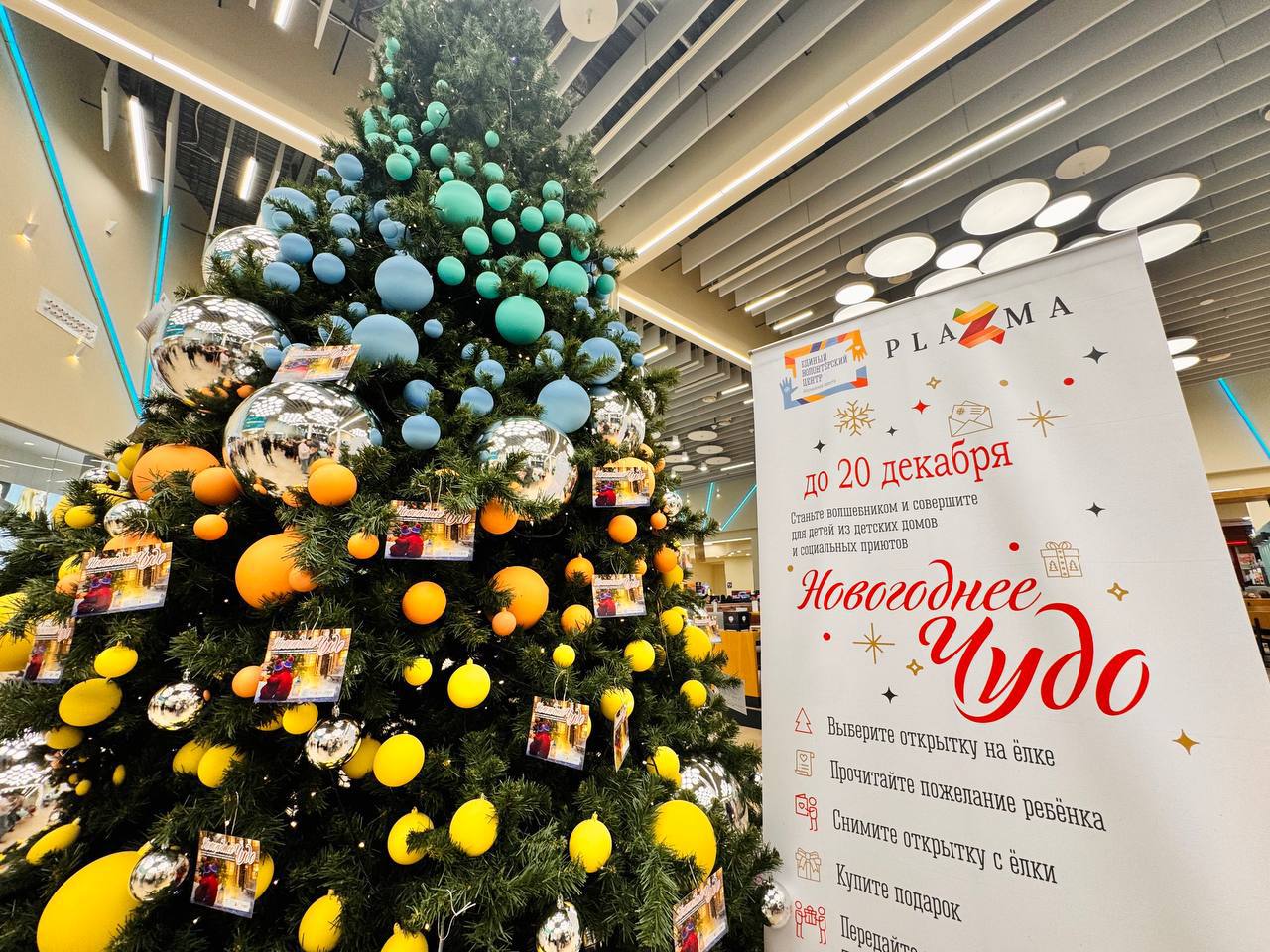 В Мурманской области стартовала благотворительная акция «Новогоднее чудо» В Мурманской области стартовала благотворительная акция «Новогоднее чудо»