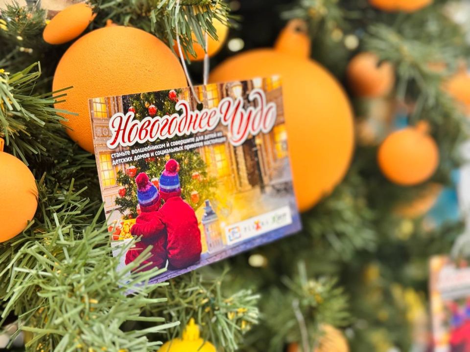 В Мурманской области стартовала благотворительная акция «Новогоднее чудо»