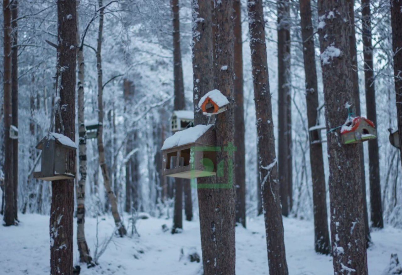 Доброе утро, Заполярье!. Спортивный комплекс «Снежинка» – одно из самых уютных мест в Мурманске Доброе утро, Заполярье!. Спортивный комплекс «Снежинка» – одно из самых уютных мест в Мурманске