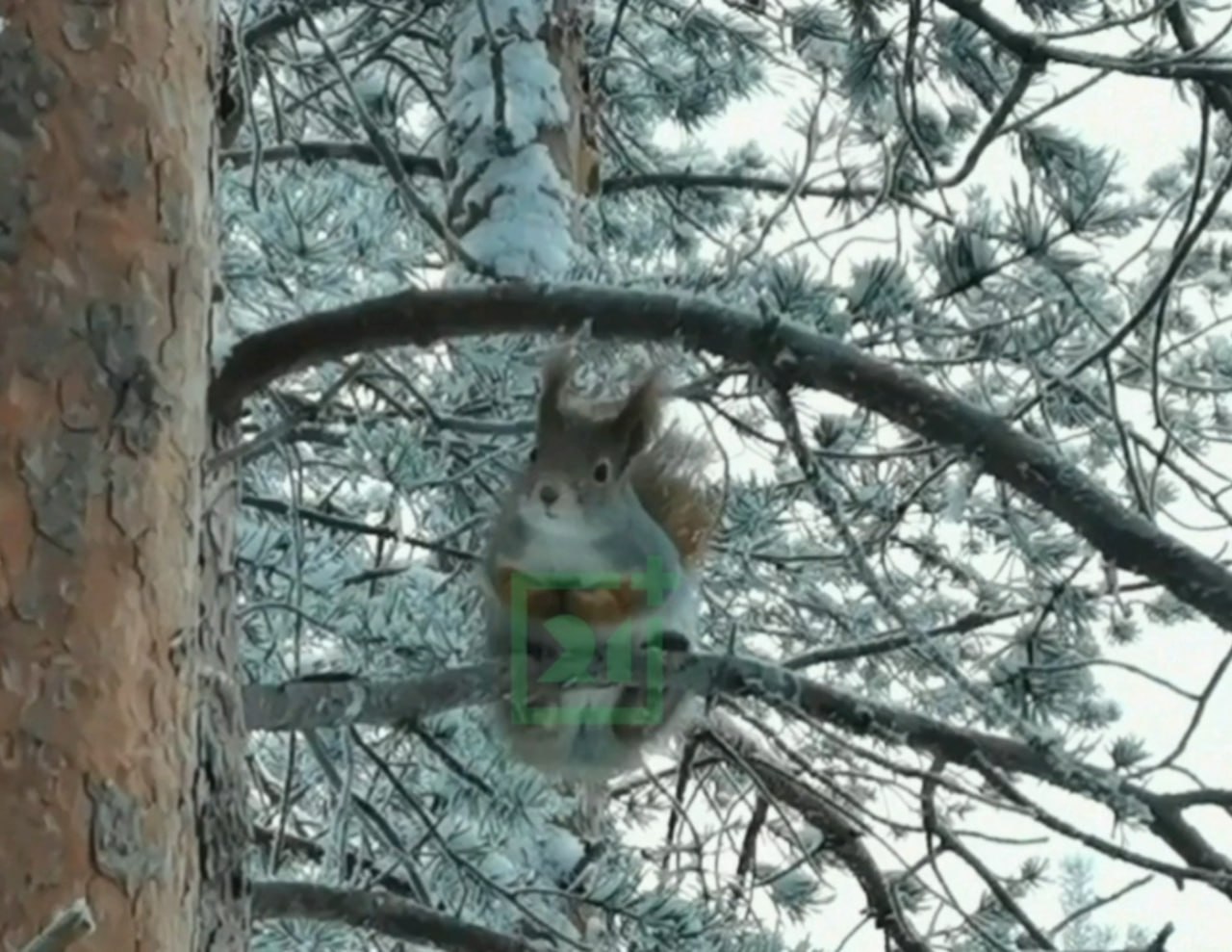 Доброе утро, Заполярье!. Спортивный комплекс «Снежинка» – одно из самых уютных мест в Мурманске Доброе утро, Заполярье!. Спортивный комплекс «Снежинка» – одно из самых уютных мест в Мурманске