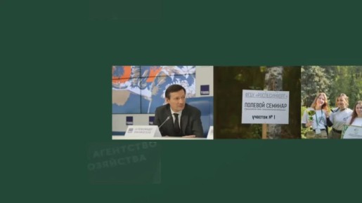 Лесной #Дайджест – главные новости за неделю