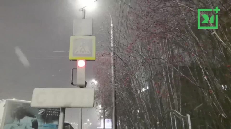 � ��������� ����������� ��������