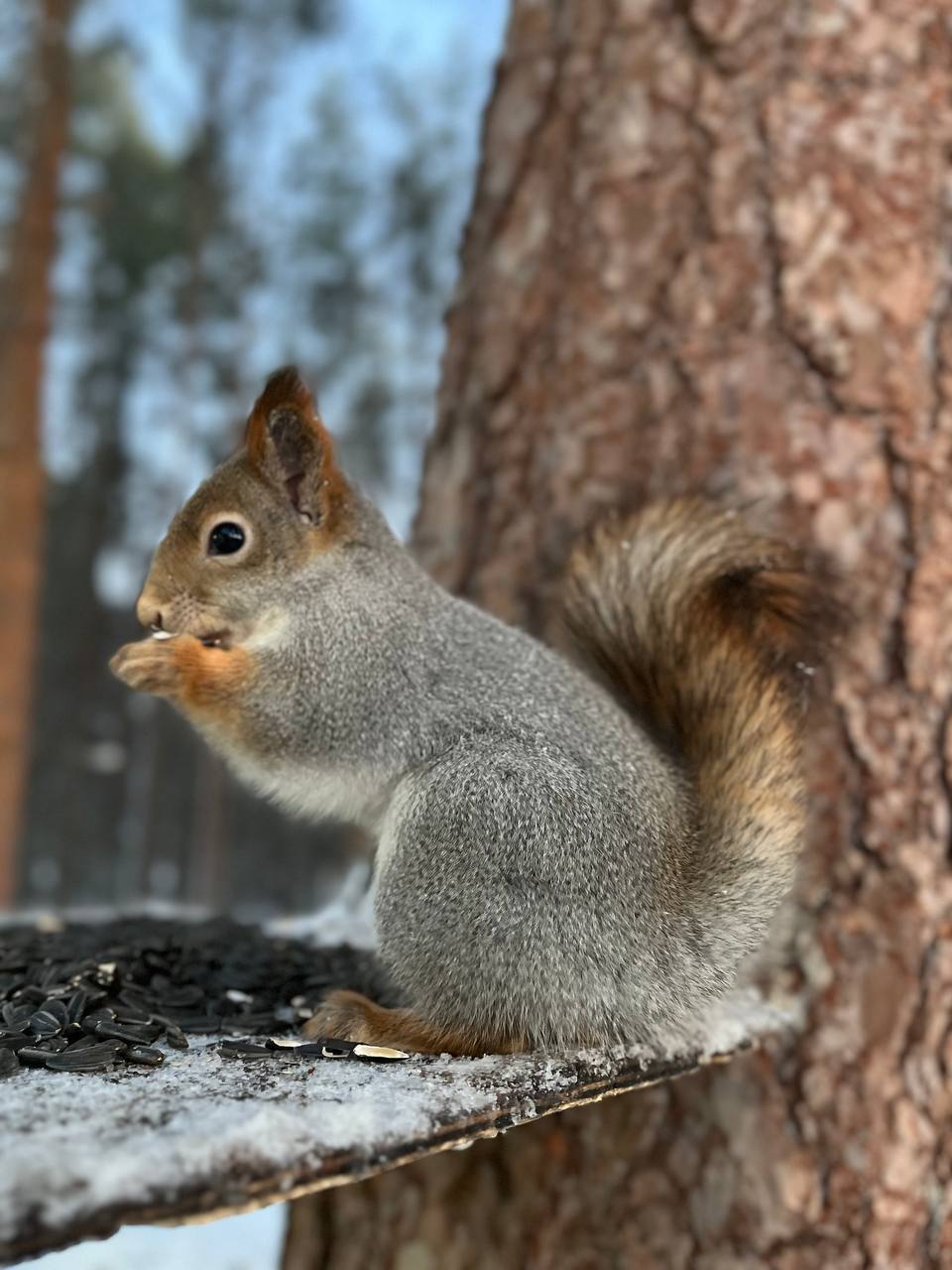 Новую неделю открываем по традиции рубрикой #наш_любимый_регион