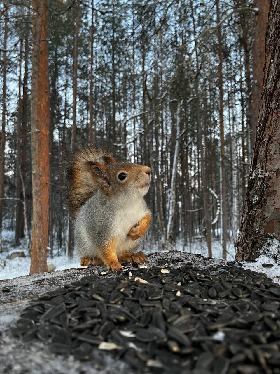 Новую неделю открываем по традиции рубрикой #наш_любимый_регион Новую неделю открываем по традиции рубрикой #наш_любимый_регион