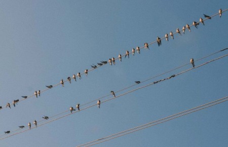 �������� �� ���������� �������� ������� ����� ��������� �������������� ������������ "�������� ������ ���"