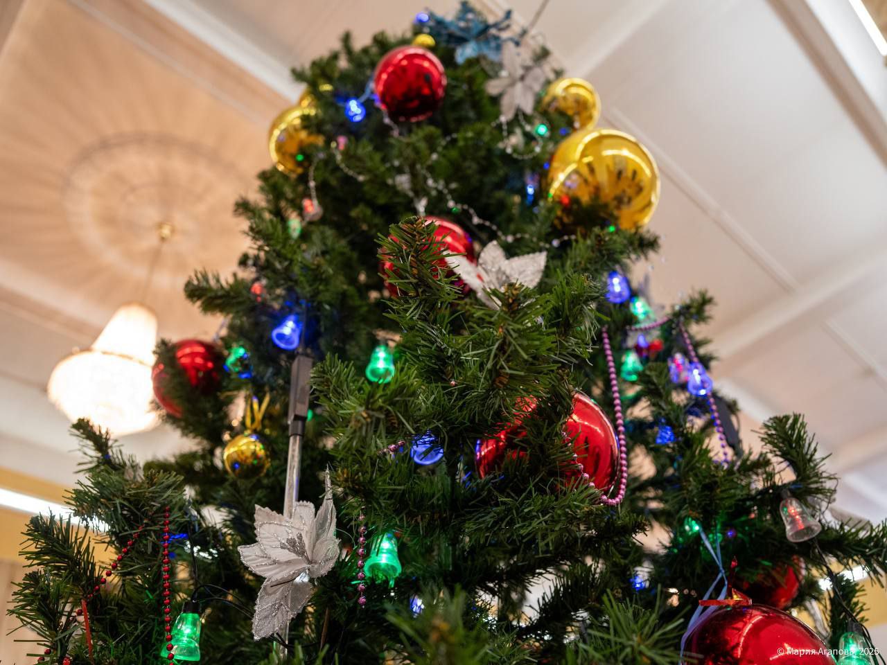 Губернаторские елки подарили новогоднее волшебство тысячам юных северян, в том числе детям наших защитников