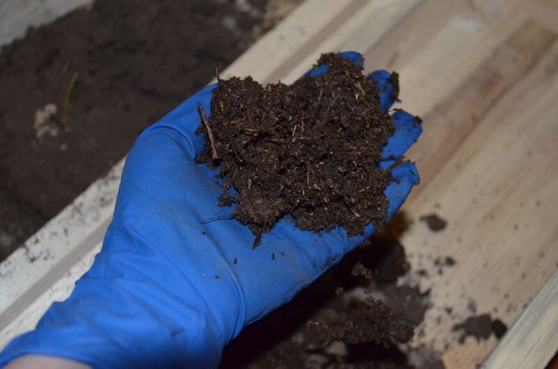 ��� ������� �������� ����� ��������� ��� �������: ��� ���������� ������