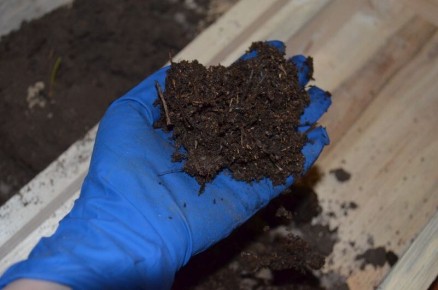 ��� ������� �������� ����� ��������� ��� �������: ��� ���������� ������