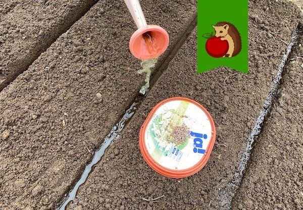 ��� ������ �������� � �������� ��� �������� ������