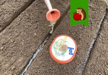 ��� ������ �������� � �������� ��� �������� ������