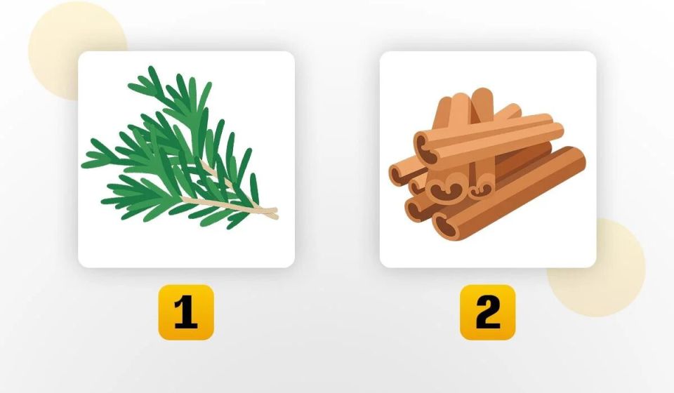 ��� ����� �� 2025 ����: �������� �� ����� ���