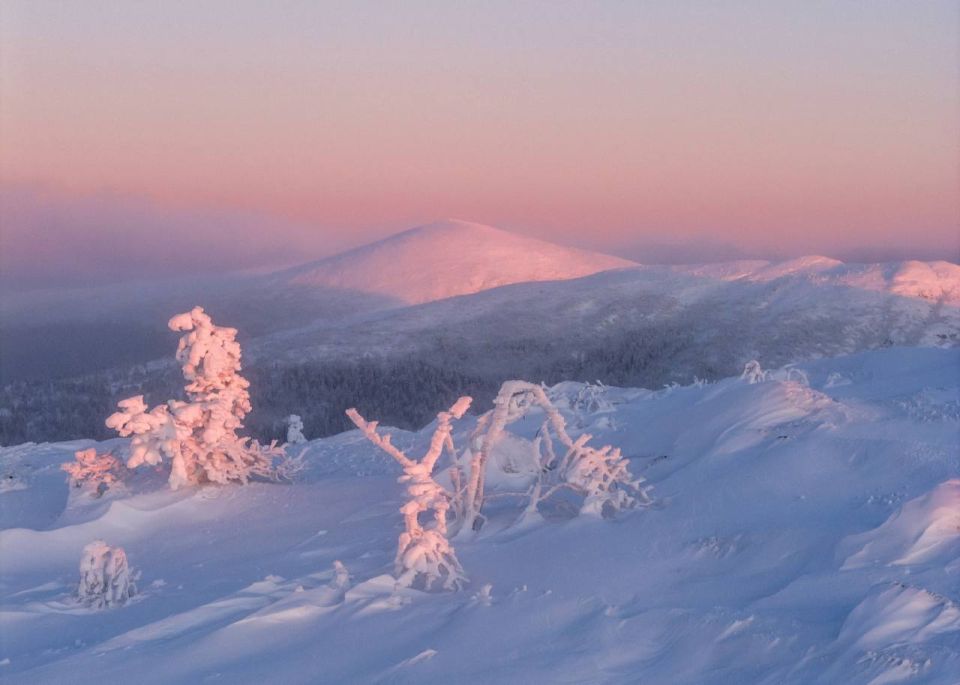 ������������� �����. ����: ������� ���������