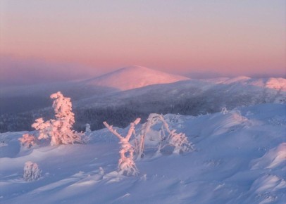 ������������� �����. ����: ������� ���������