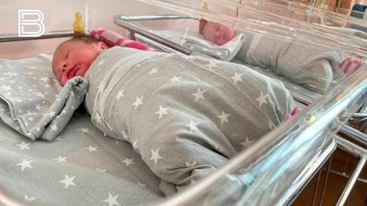 ������ ����������� ���������� ������������ ���������������� ������ ������� �� �������� �����������