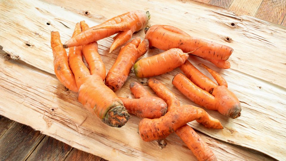 �������� �������� ��� ���� �����: ��� ������ ������� ������ ������