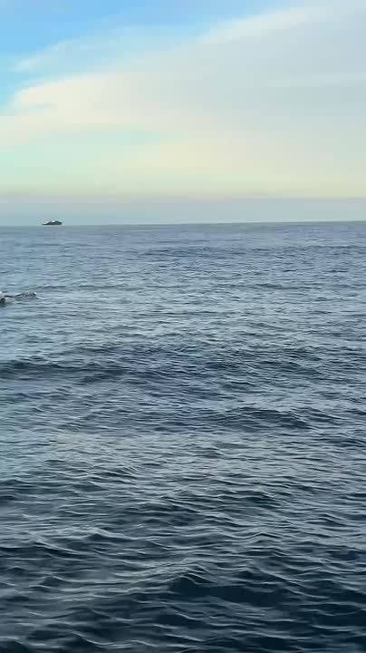 � ���������� ������� ������ ��� �����