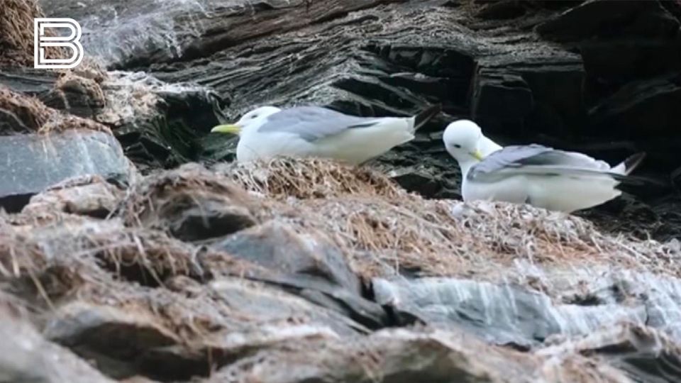 ��������� ���: ������� ��� ���������� �� �������� ��������� ���������� �� �������� ������� � �������������� ����� ��� ���