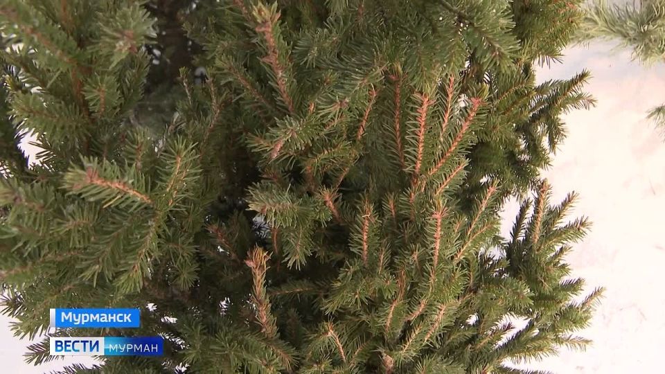 ������� ������ ����� �������� �� ������ ���������� ����������, �� � ������������� ������