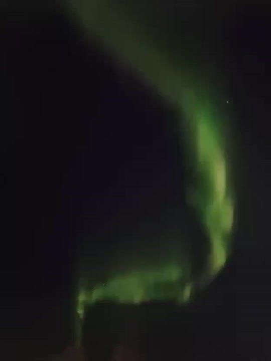 � ������ ���� ����� ������ ������� �� ������ �������� ��������� ��� �������� #���_�������_������