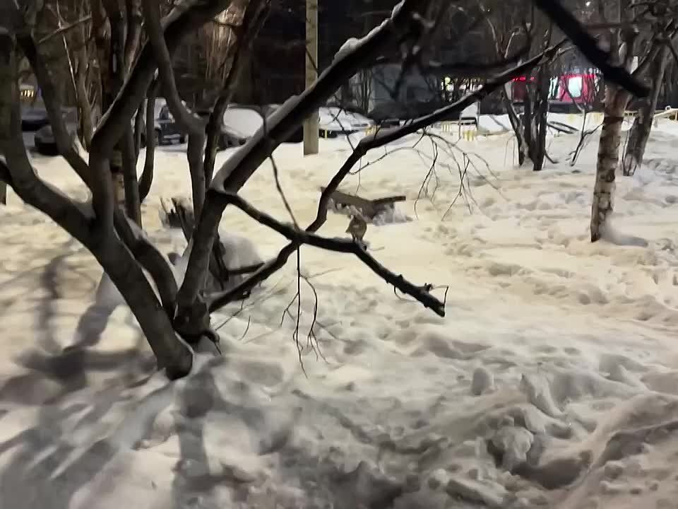 ����������, ���������!. �� ����� �� ����� ������ ���������� �� ���� �������� ���������� ����� � ������� � ������������ ����