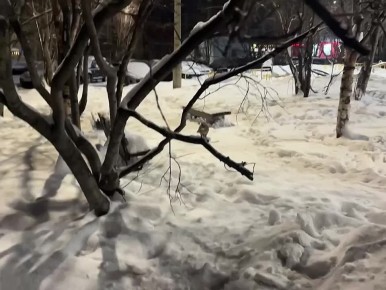 ����������, ���������!. �� ����� �� ����� ������ ���������� �� ���� �������� ���������� ����� � ������� � ������������ ����