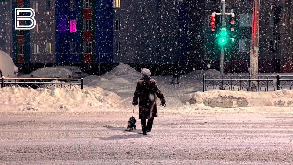 �� ���������� ����������� ��������������, 24 ������� � �������� ��������� ����� ������� � ������������