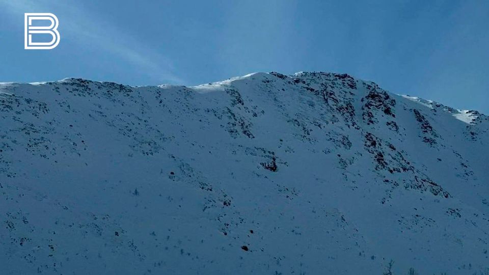 �������������� ����� ����� � ������� �������� � 18 �����