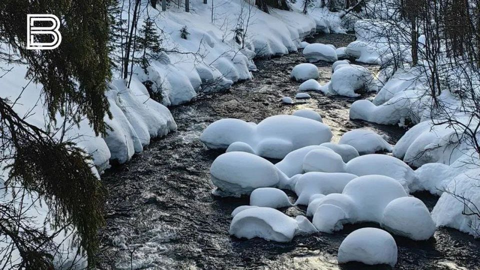 ��������� ������ ������ � ��������� ������ ������������� � ���������� ������� � 2025 ����