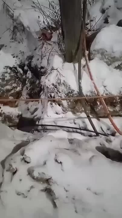 � ���������� ������� ������������� ����� ����� ������ � �������