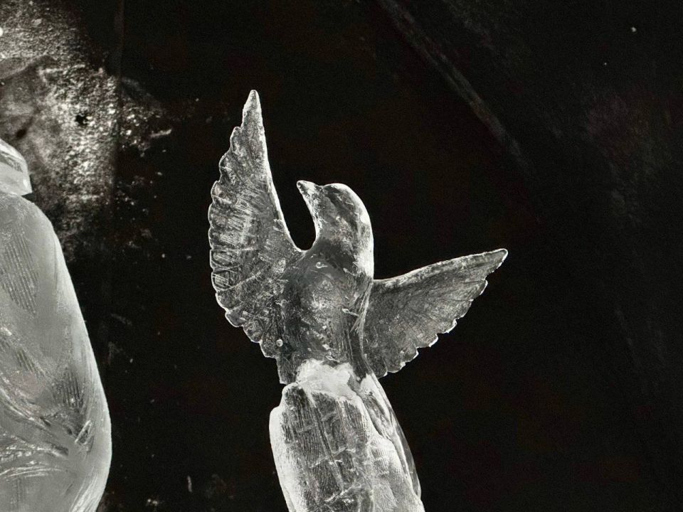 ������ ����, ���������!. � �������� ��������� � �������� ����� ����� �������� ������� � ���������� ������� ������������, ��� ��� ���� � �� ���������� ��������� �� ����� � ����