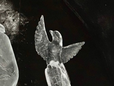 ������ ����, ���������!. � �������� ��������� � �������� ����� ����� �������� ������� � ���������� ������� ������������, ��� ��� ���� � �� ���������� ��������� �� ����� � ����