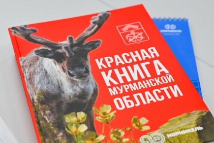 �������� ������ ������� ������� ����� ���������� �������