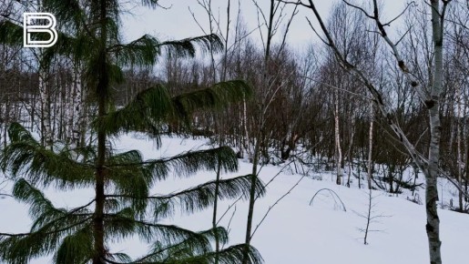 �� ���������� ����������� ����, 26 ������� � �������� ��������� ����� �������� � ������������