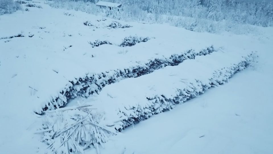 ���������������� � ���������� ������� ����� ������������ ������������ �� ������