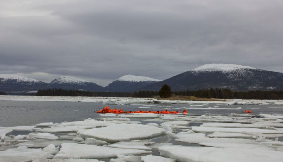 � ���������� ������� �������� �� ����� ������������ ������ �� ������