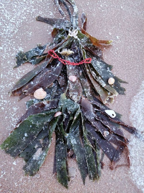 Зимние пейзажи Кузомени.. Ольга Карышева