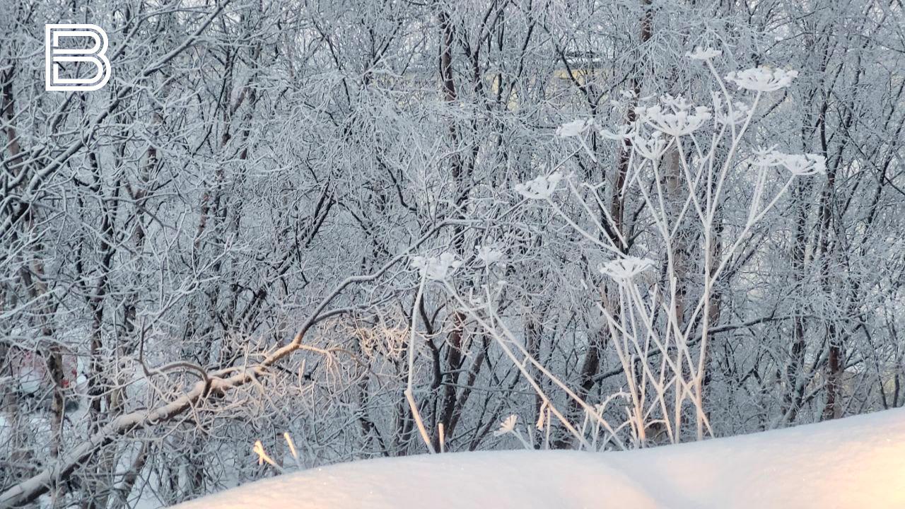 По данным мурманского гидрометцентра, 27 декабря в Кольском Заполярье ожидается облачная погода