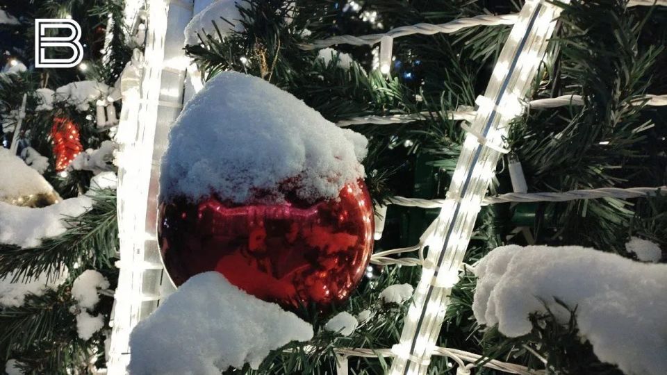 ������ ����� ������� ������� �������� �� ������������ ������������ � ������ ���������� ����������