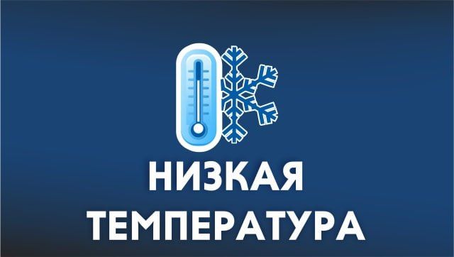 ��������!. �� ������ ���� ����������� ���ѻ, 31 ������� 2025 ���� �� ������ ���������� ������� �������������� �������� ������, �����