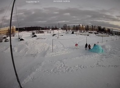 В Мурманской области юный вандал попал на камеру